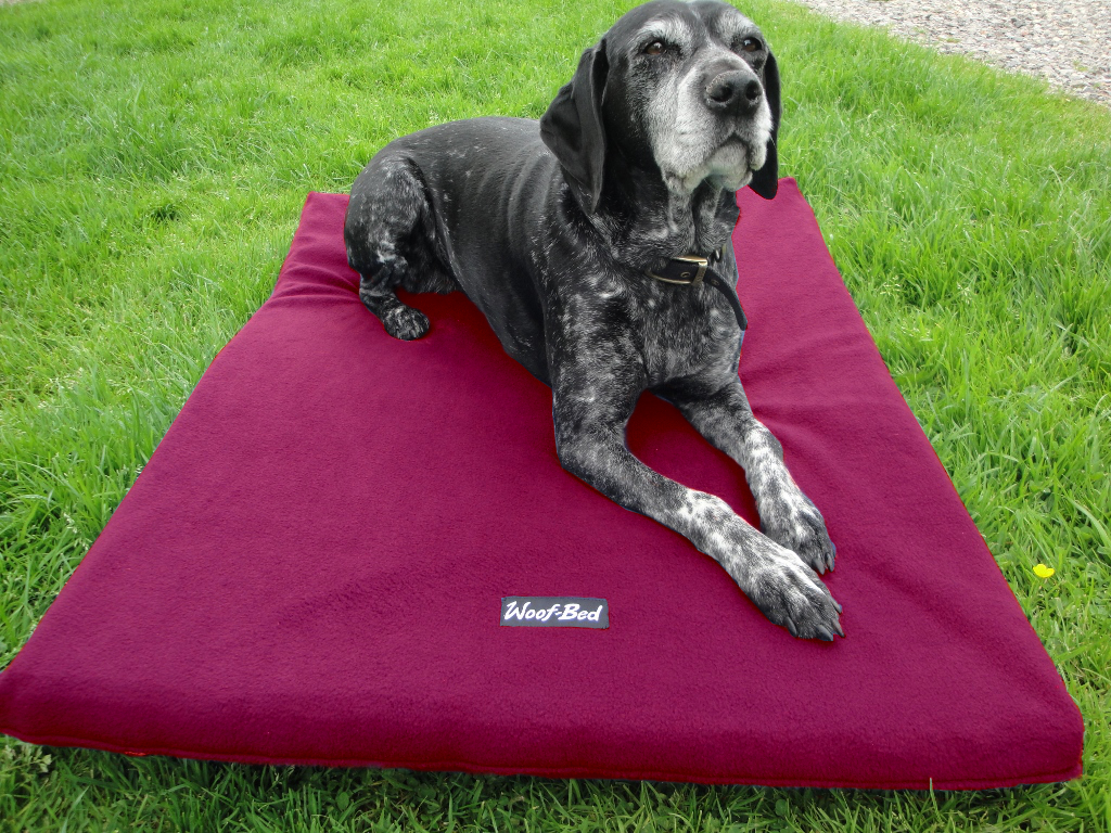 Dog Beds,Memory Foam Dog Bed,Large,Dog beds,Woof Bed,Memory Foam