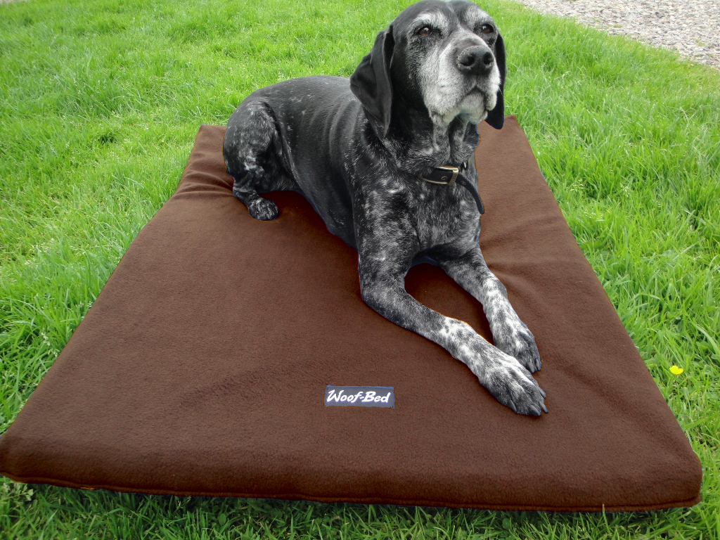 Dog Bed Woof Bed Pet Bedding